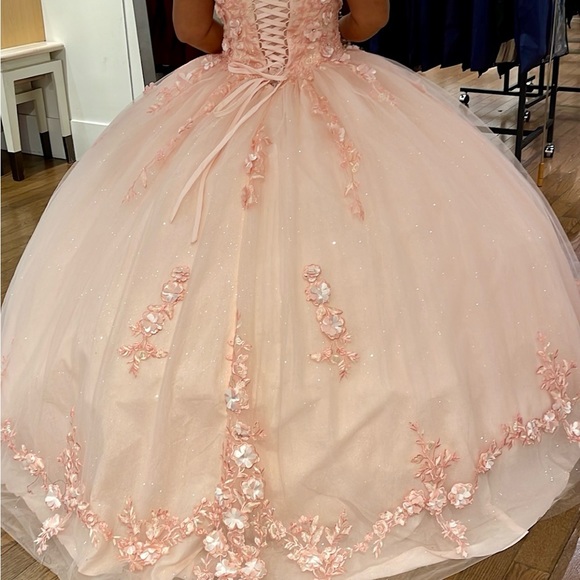 Quinceañera/Sweet Sixteen Gown - Picture 2 of 4